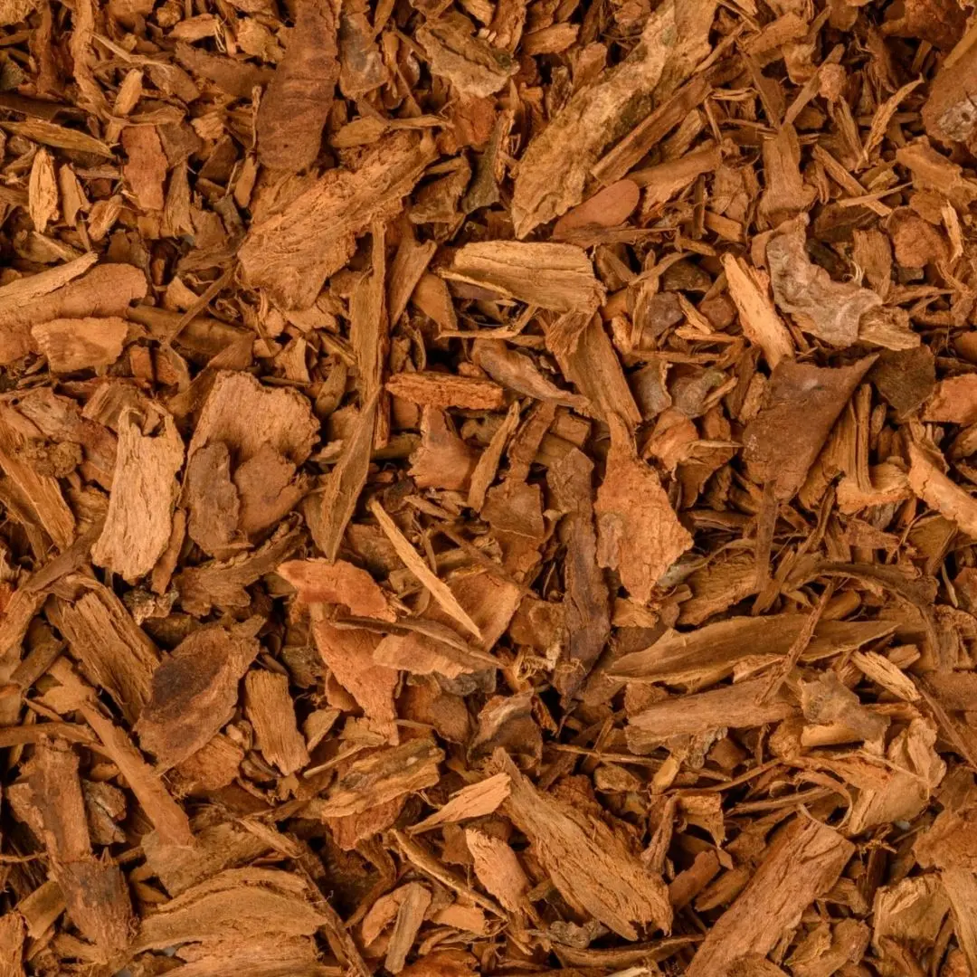 Cinnamon Chips